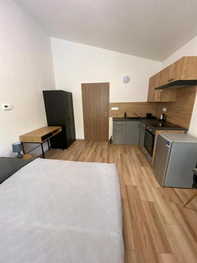 Cerna Ruze - Apartman 7 Plzen Exterior photo